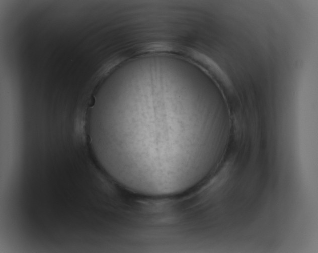 X0000101111225200807101502