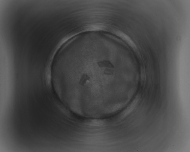 X0000101111226200807101502