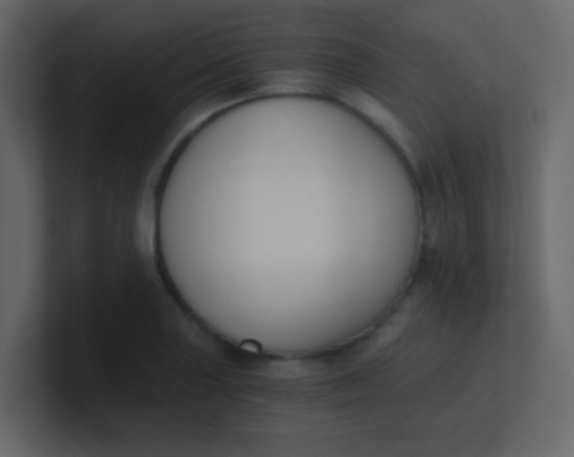 X0000101111227200807101502