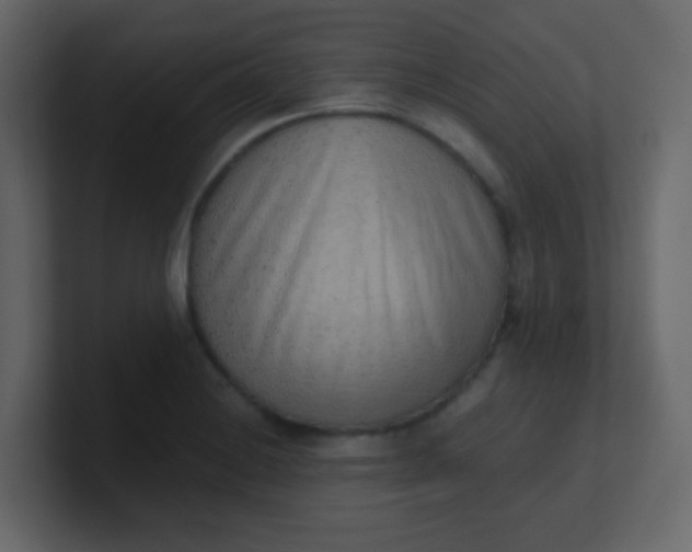X0000101111228200807101502