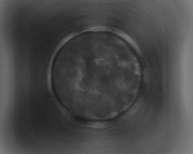 X0000101111229200807101502