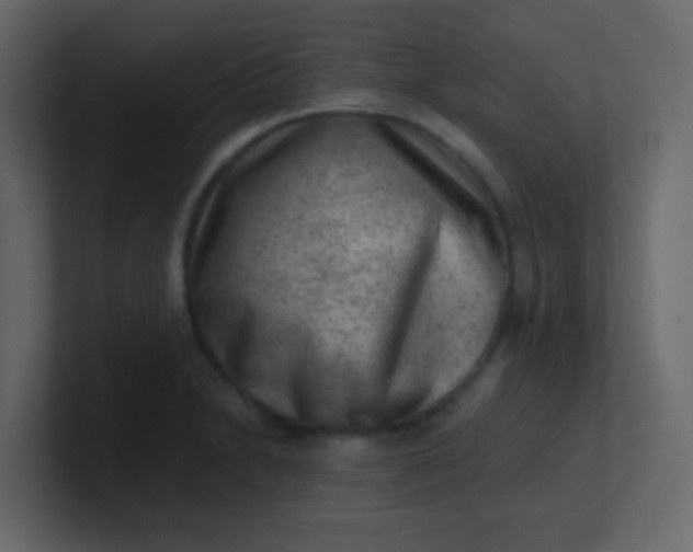 X0000101111230200807101502