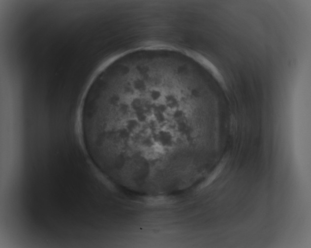 X0000101111231200807101502