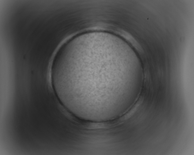 X0000101111232200807101502