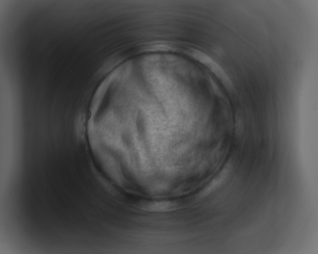 X0000101111233200807101502