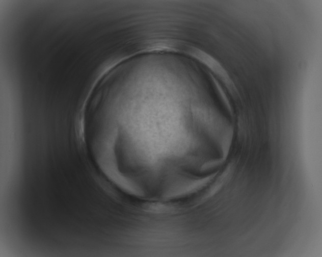 X0000101111234200807101502