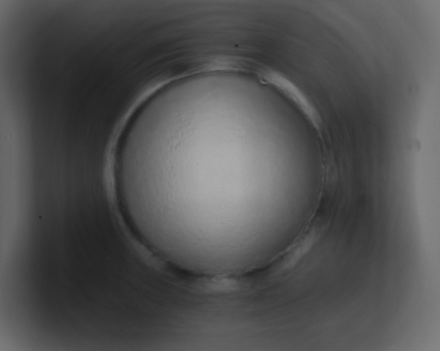 X0000101111235200807101502