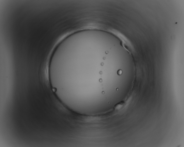 X0000101111238200807101502