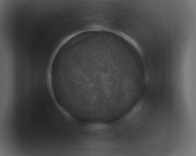 X0000101111239200807101502