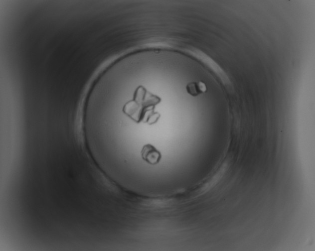 X0000101111240200807101502