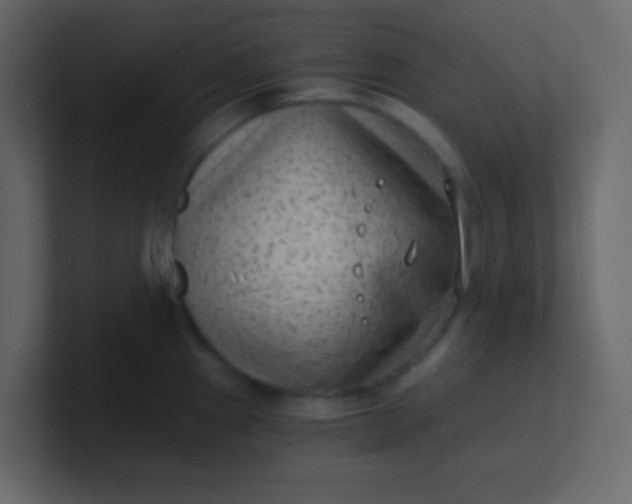 X0000101111241200807101502