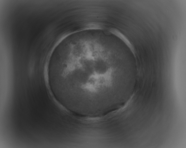 X0000101111243200807101502