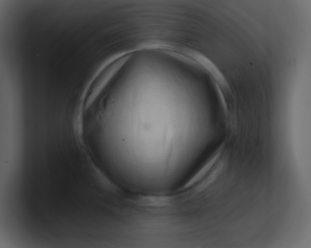 X0000101111244200807101502