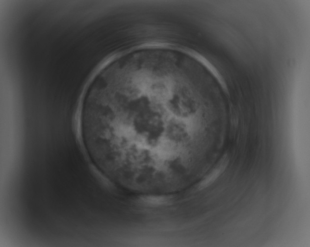 X0000101111245200807101502