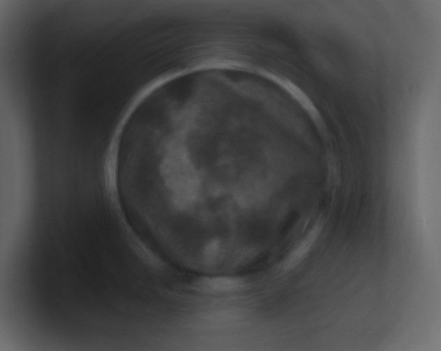X0000101111246200807101502