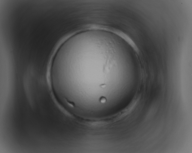 X0000101111247200807101502