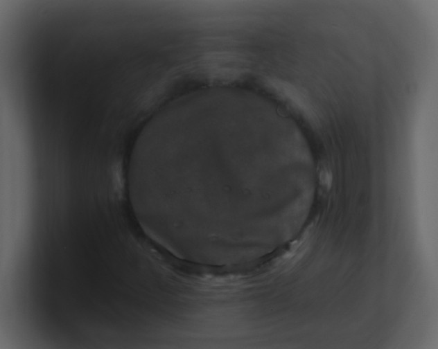 X0000101111252200807101501