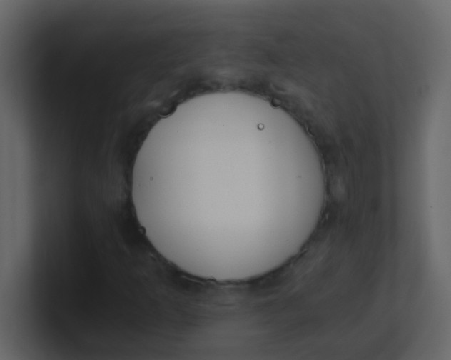 X0000101111253200807101501