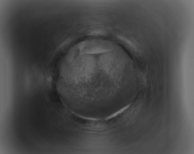 X0000101111254200807101501