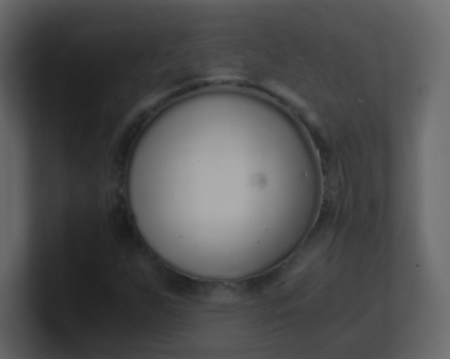 X0000101111255200807101501