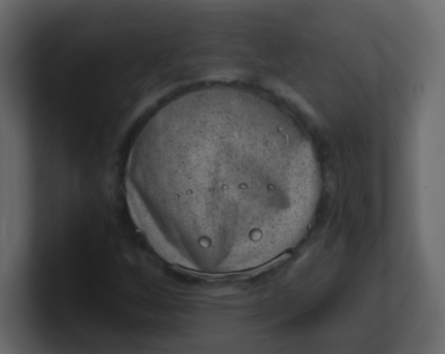 X0000101111256200807101501