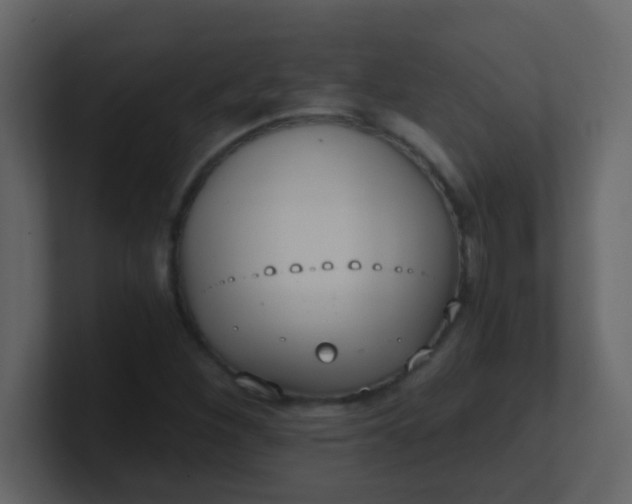 X0000101111260200807101501