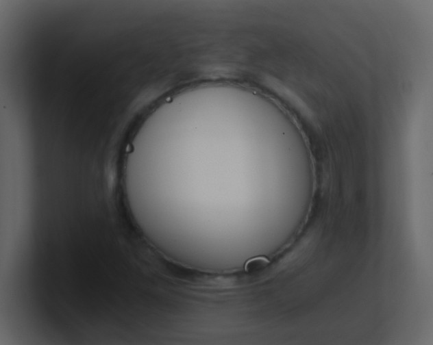 X0000101111261200807101501
