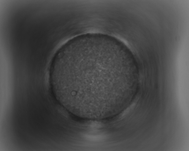 X0000101111263200807101501