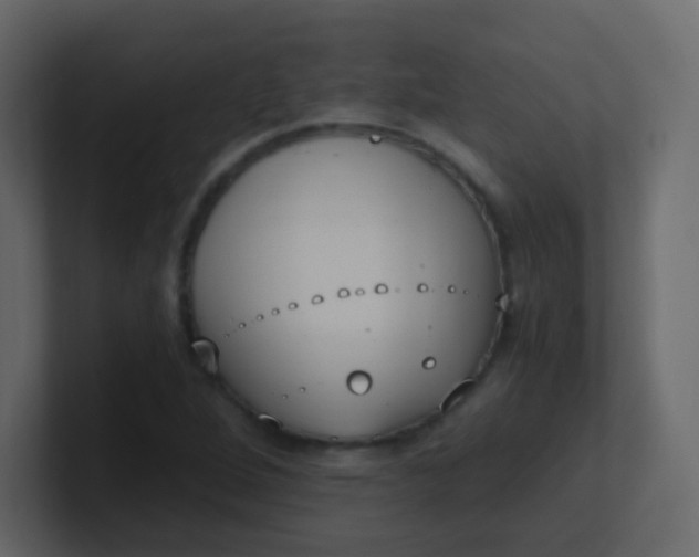 X0000101111264200807101501