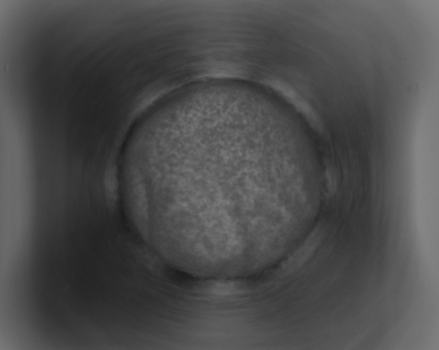 X0000101111266200807101501
