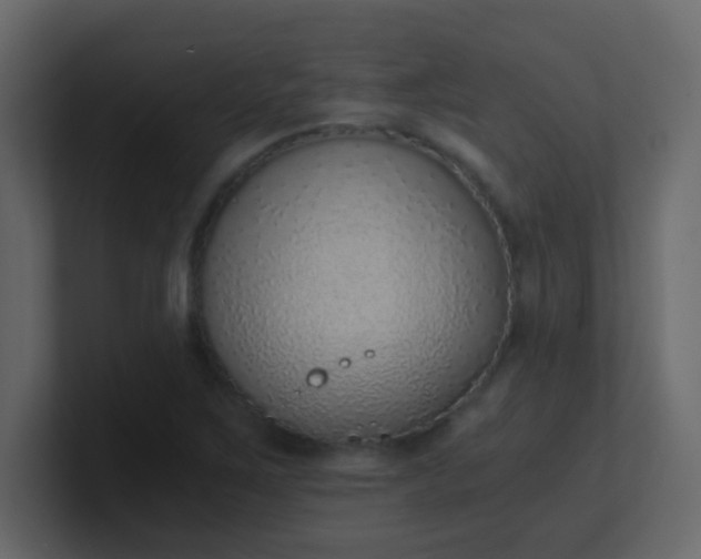 X0000101111267200807101501