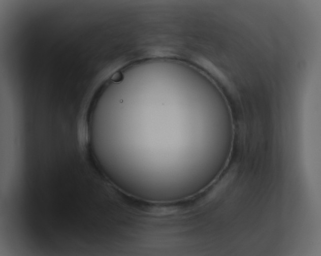 X0000101111269200807101501