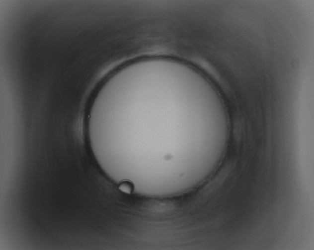 X0000101111270200807101501