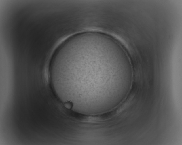 X0000101111271200807101501