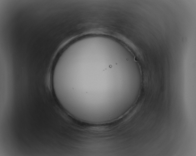 X0000101111272200807101501