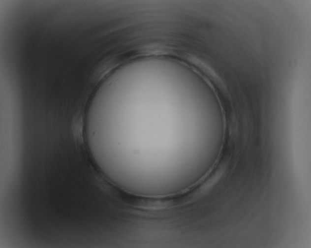 X0000101111273200807101501