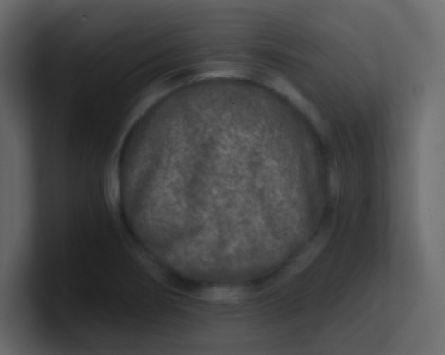 X0000101111274200807101501