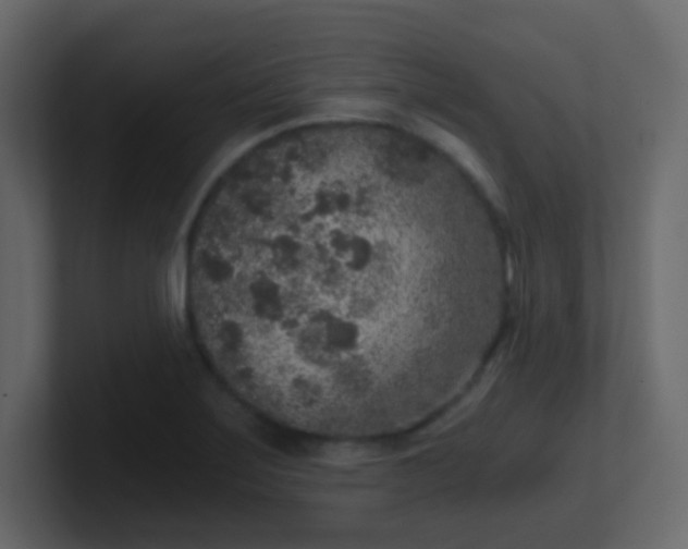 X0000101111275200807101501