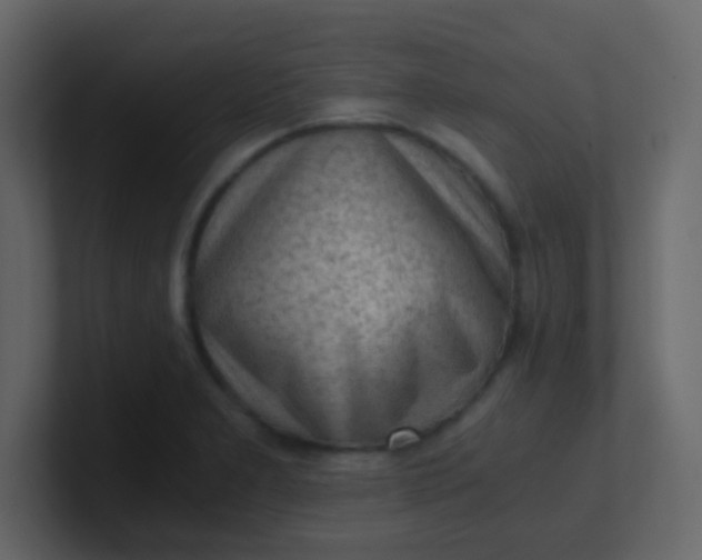 X0000101111277200807101501