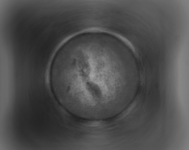X0000101111279200807101501