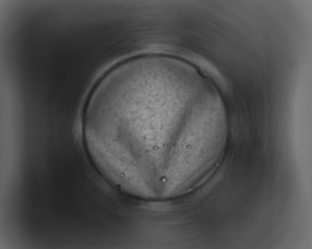 X0000101111280200807101501