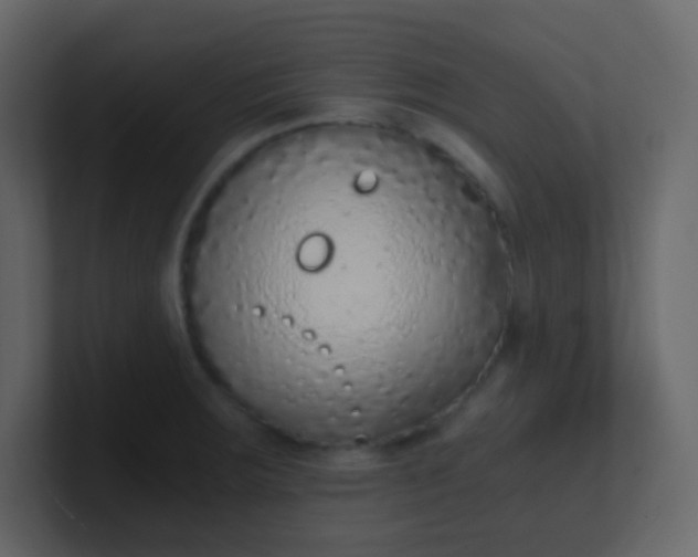 X0000101111283200807101501