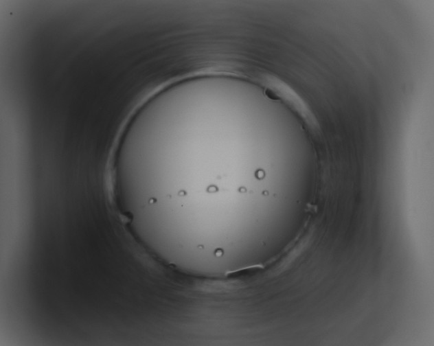 X0000101111284200807101501