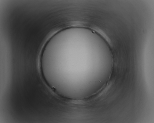 X0000101111285200807101501
