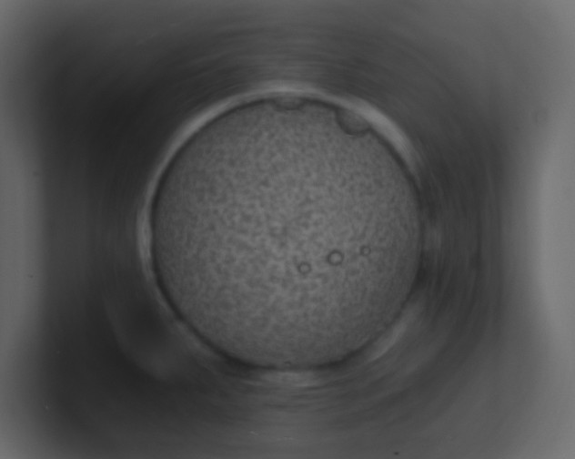 X0000101111287200807101501