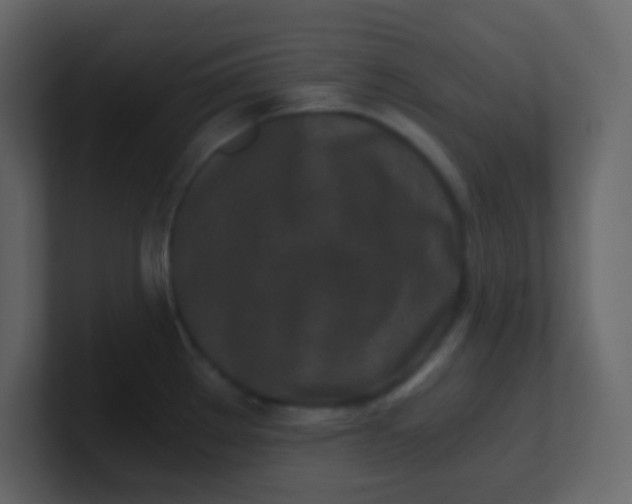 X0000101111289200807101501