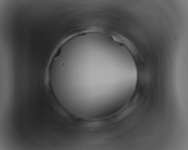 X0000101111292200807101501