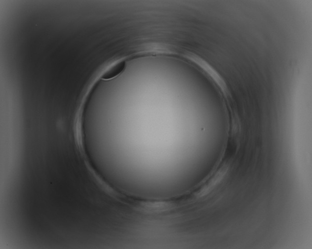 X0000101111293200807101501