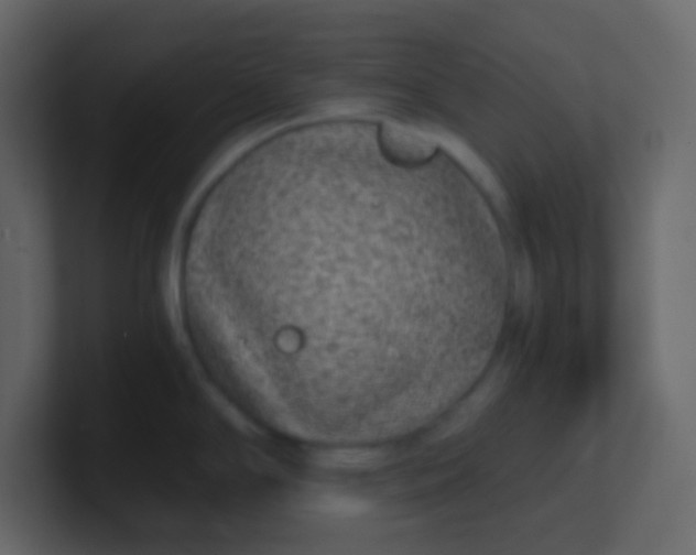 X0000101111294200807101501