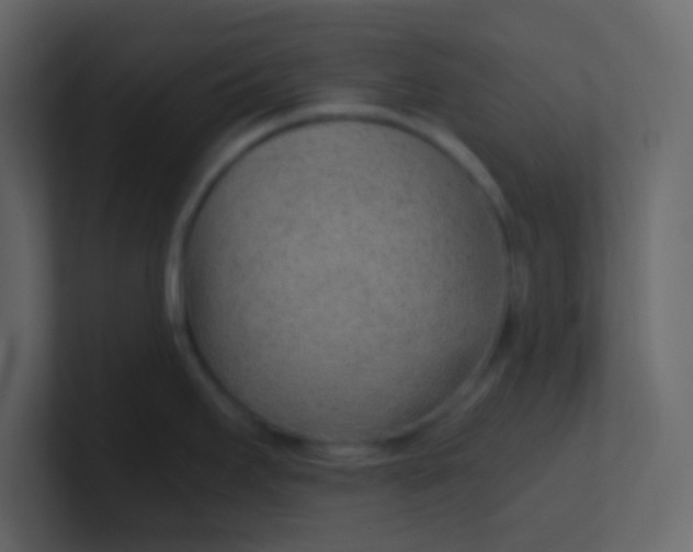 X0000101111295200807101501